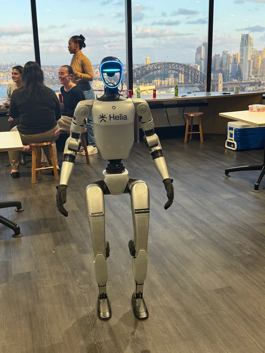 Rocco in Helia branding in an office with the Sydney Harbour Bridge through the windows