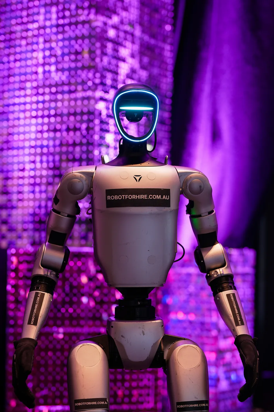 Rocco under purple event lighting